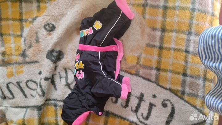 Комбинезон для маленькой собаки девочки