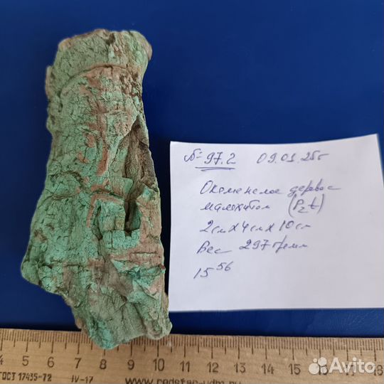 Окаменелое дерево с малахитом.97.2
