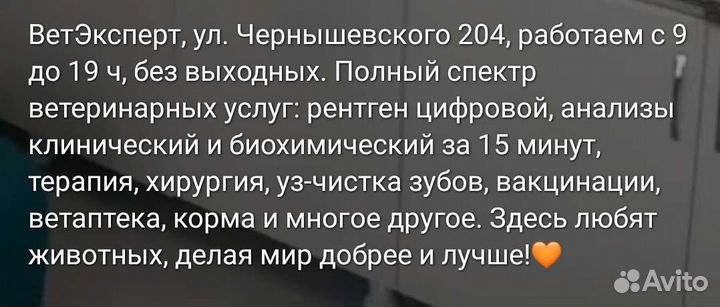 Ветеринарный врач, клиника