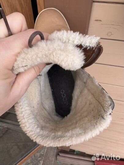 Зимние ботинки ecco