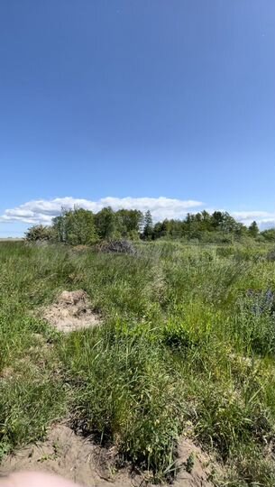 Участок 6 сот. (ИЖС)