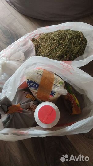 Витрина,клетка для шиншиллы