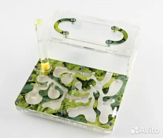 Муравьиная ферма акрилово-гипсовая