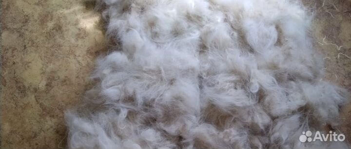 Собачья шерсть продажа