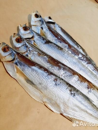 Вяленая чехонь/Прямая доставка из Астрахани