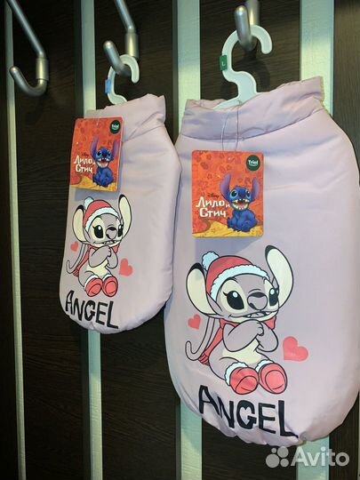 Одежда для собак