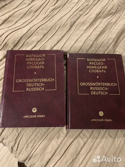 Большой немецко-русский словарь