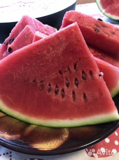 Рассада арбуза и дыни,тыквы мускатной