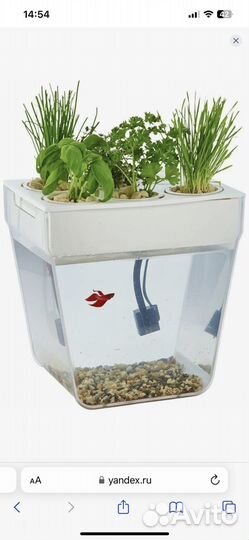 Акваферма детская