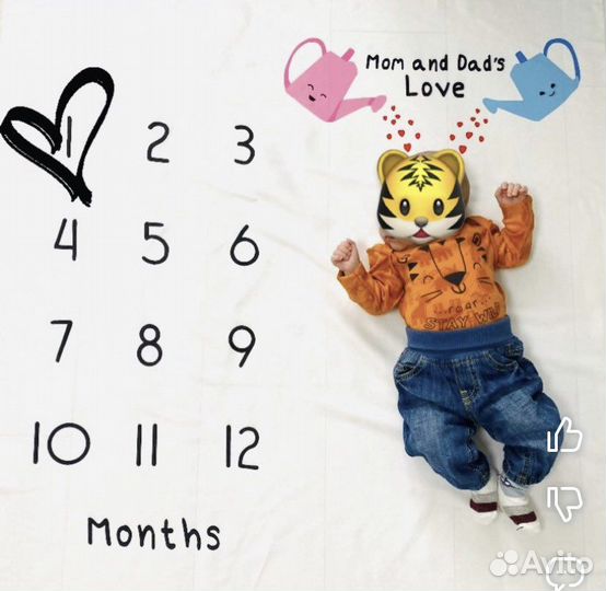 Фотоплед по месяцам