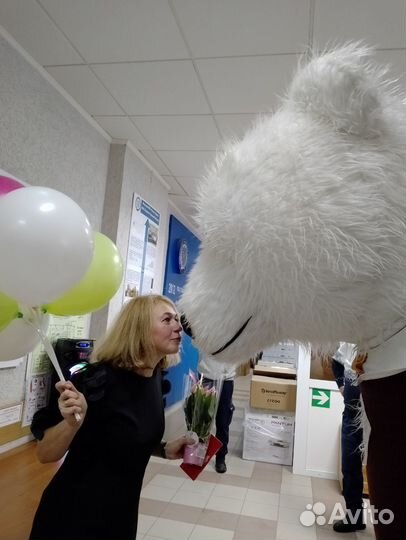 Белый медведь. Экспресс поздравление. Аниматор