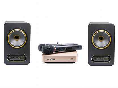 Караоке Evolution evobox Plus Gold + Tannoy Gold 7