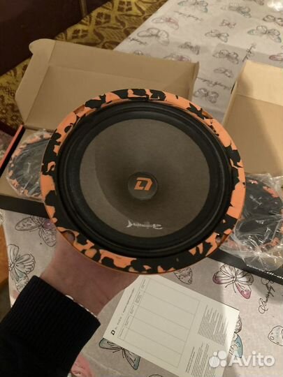 Dl audio barracuda 165