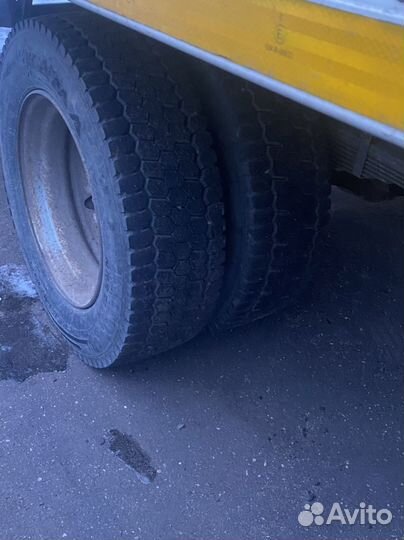 Газон Некст