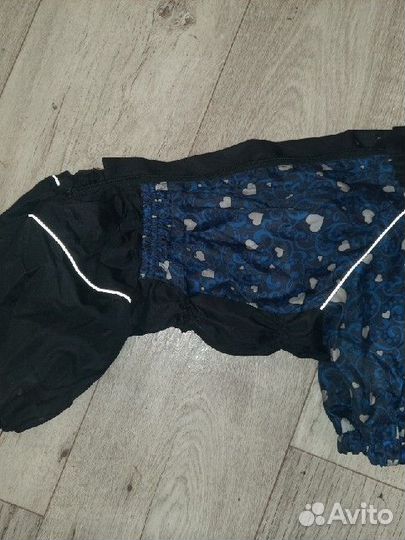 Одежда для собак