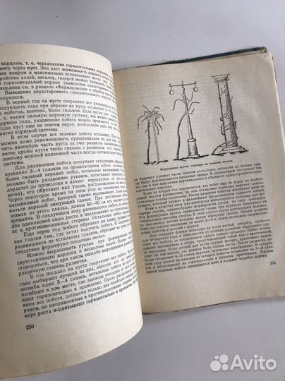 Настольная книга виноградаря 1967 Н.Коваль