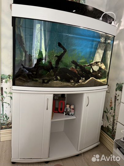 Аквариум панорамный 200 литров с тумбой