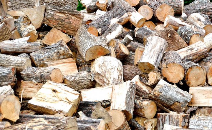 Дрова сегодня