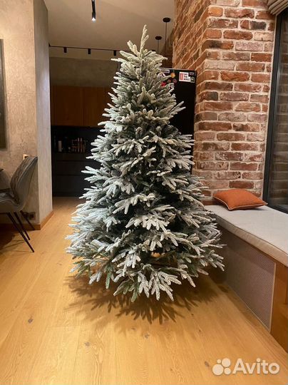 Елка зансеженная премиальная