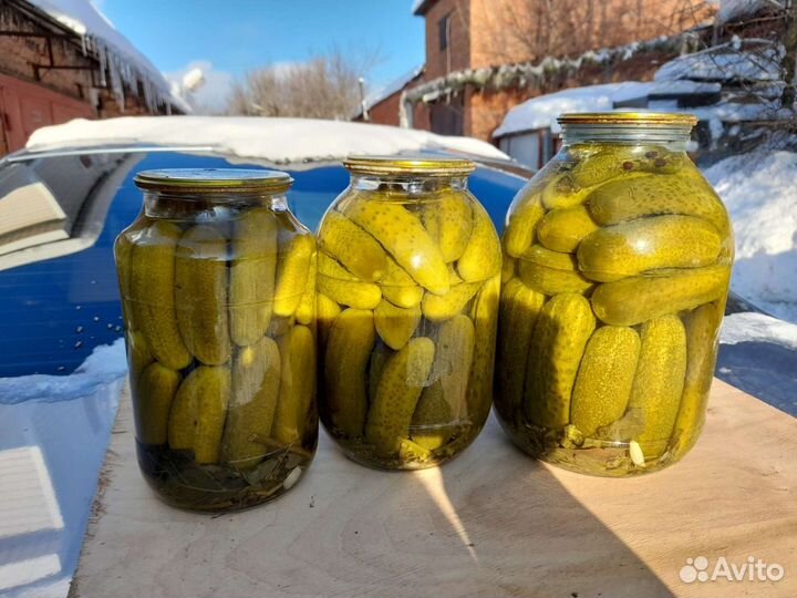 Огурцы помидоры домашние