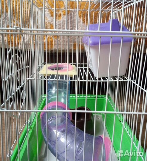 Клетка для джунгарского хомяка бу