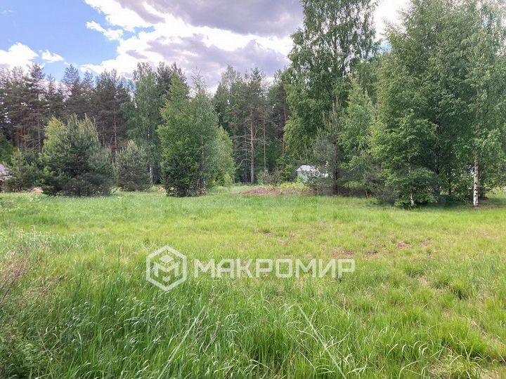 Участок 12 сот. (СНТ, ДНП)