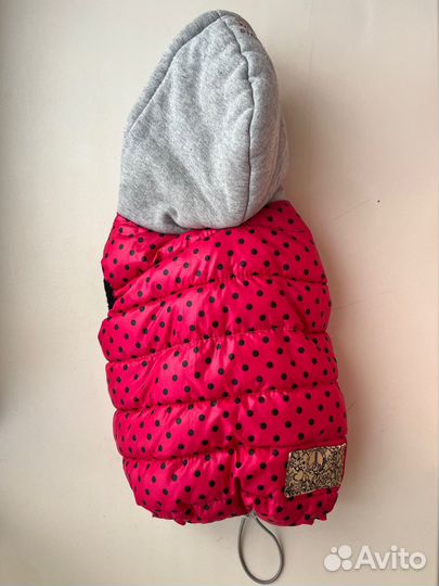 Костюм для собаки мелких пород с капюшоном