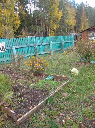 Участок 6 сот. (СНТ, ДНП)