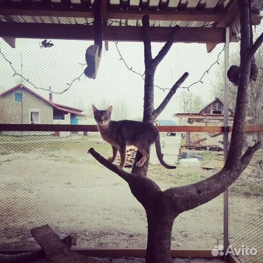 Зоогостиница Зоосфера