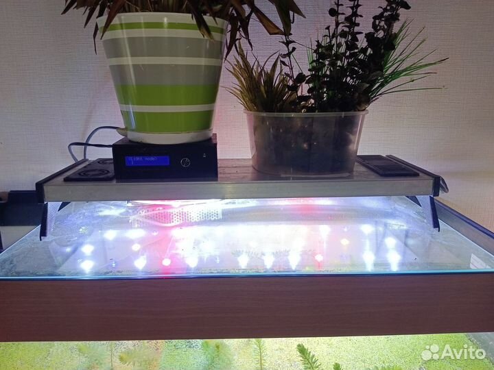 Аквариум морской 130 л