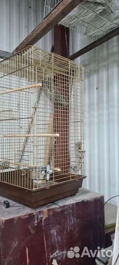 Клетка для попугая бу