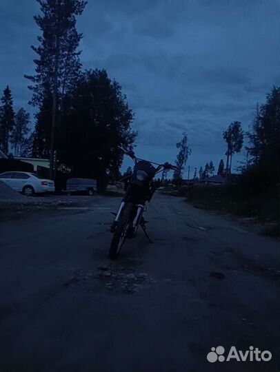 Рейсер 150
