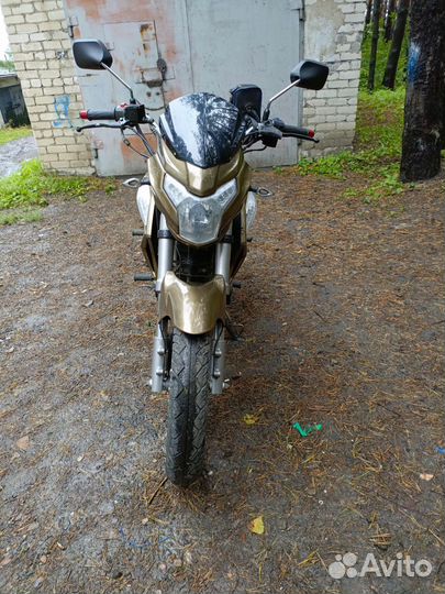 Рейсер файтер