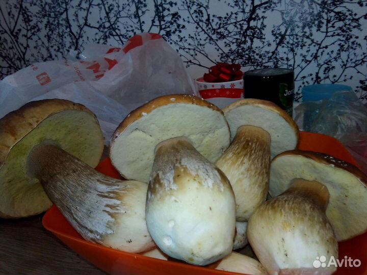 Чеснок, салат, крыжовник, черника