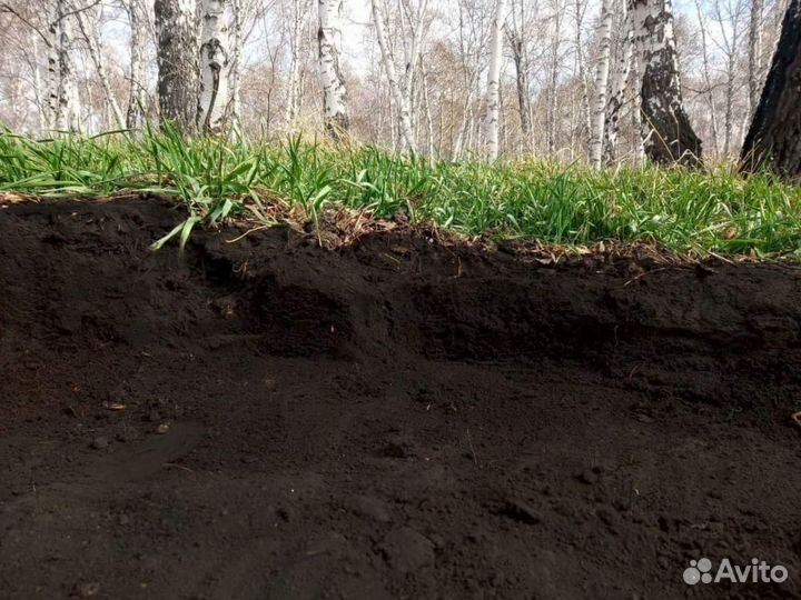 Чернозем. Хлюпино