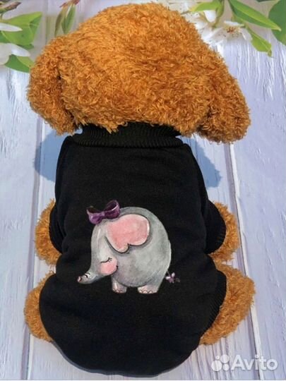 Толстовка для собаки