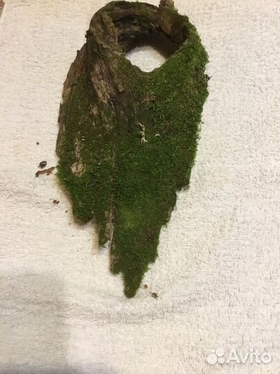 Набор природный кора и мох для поделок