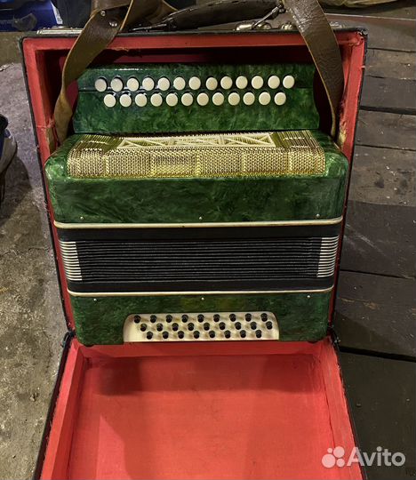 Гармонь ромашка