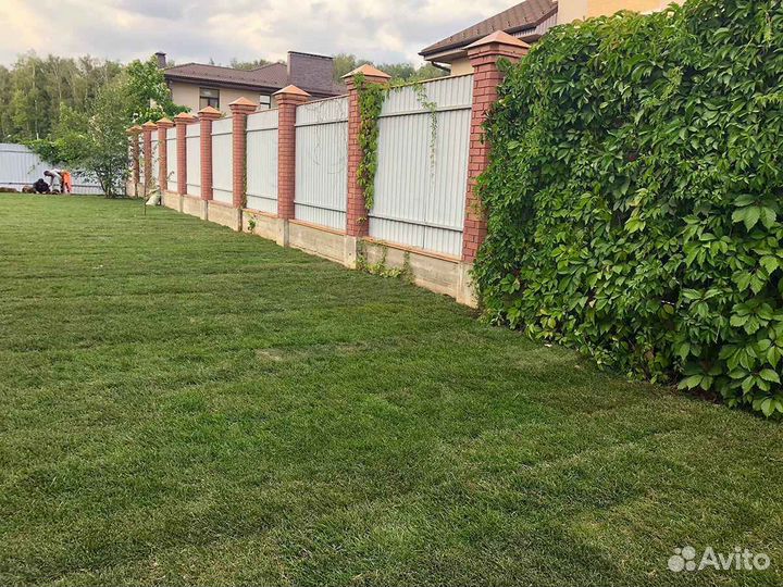 Укладка и продажа газона