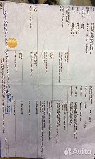 Бретонский эпаньоль.вязка