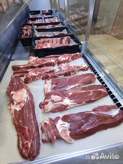 Мясо свежее говядина халяль