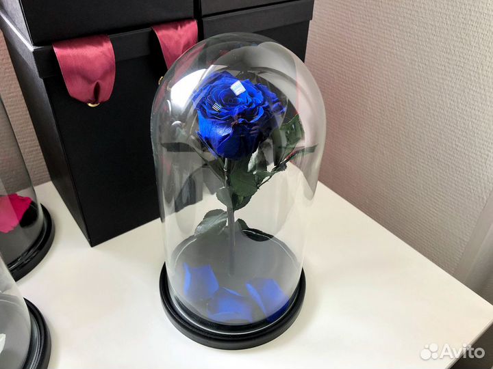 Роза в колбе