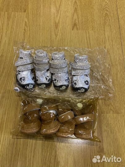 Одежда и обувь для собак