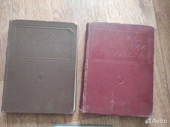 Литература по медицине (анатомия и гистопатология)