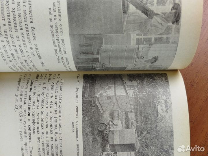 Н. Зарецкий. Пособие для начинающего пчеловода