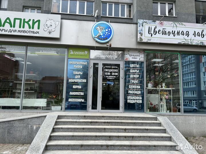 Грумер стрижка собак