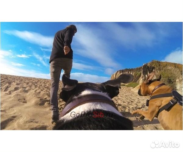 Крепление для собаки (для GoPro sjcam)