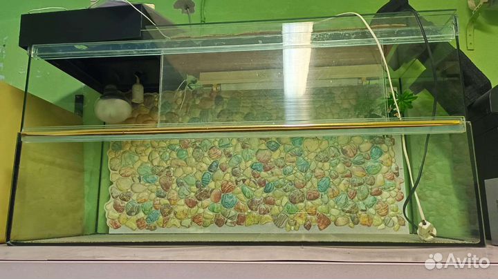 Террариум большой