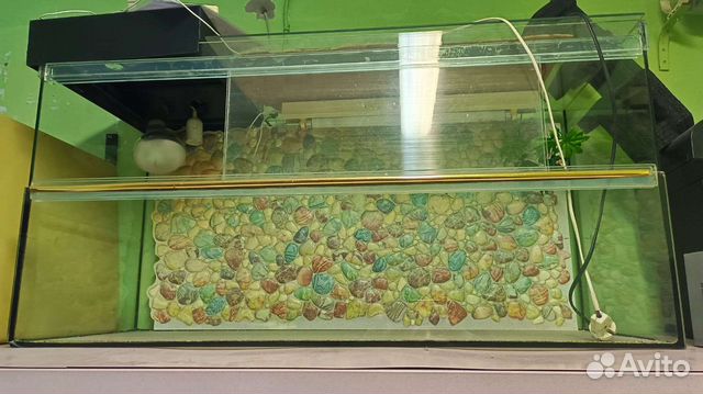 Террариум большой