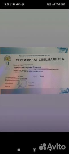 Кинезиолог